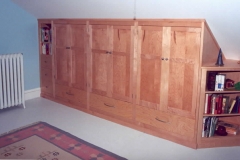 Custom built-in storage and shelving unit